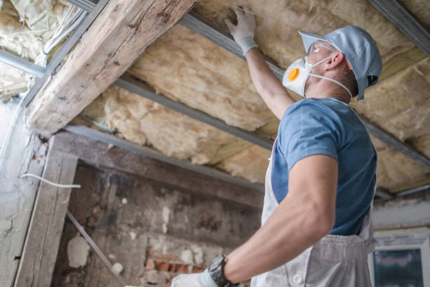 Types of Insulation We Offer in Lake Elmo, MN